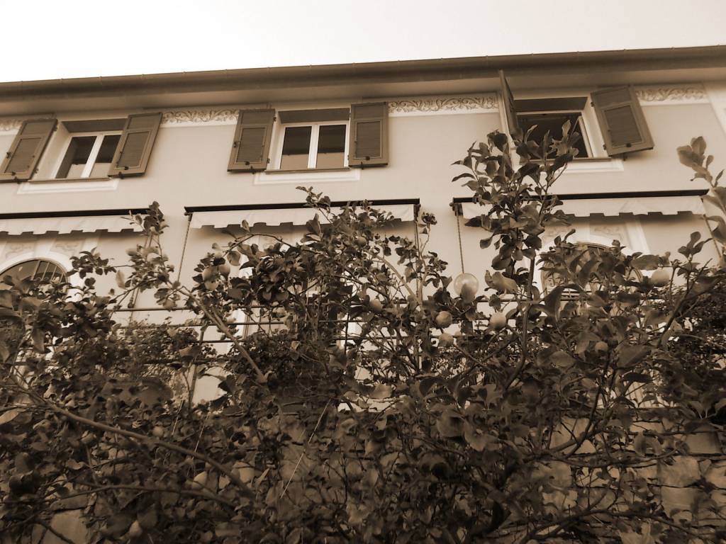 Villa a Rapallo in Via del Castellino - Foto 3