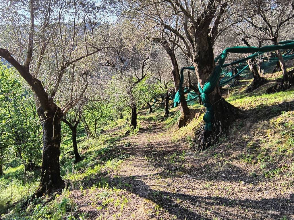 Terreno a Giffoni valle piana in Via Polongone - Foto 2