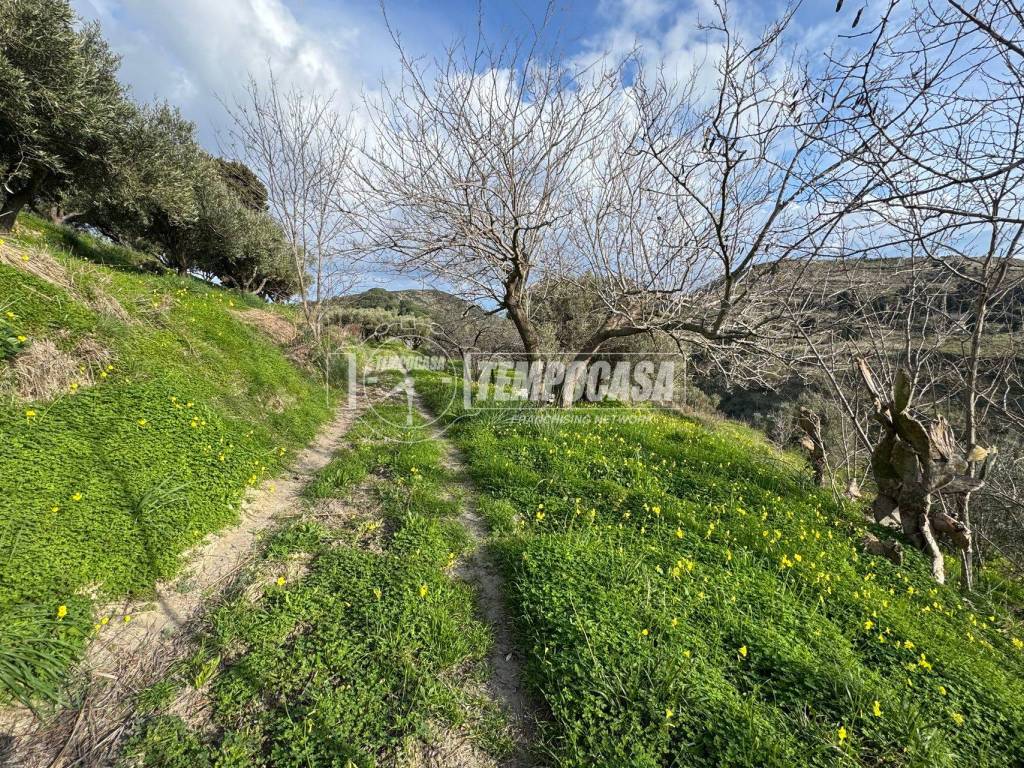 Terreno a Messina in Strada Provinciale 50 - Foto 2