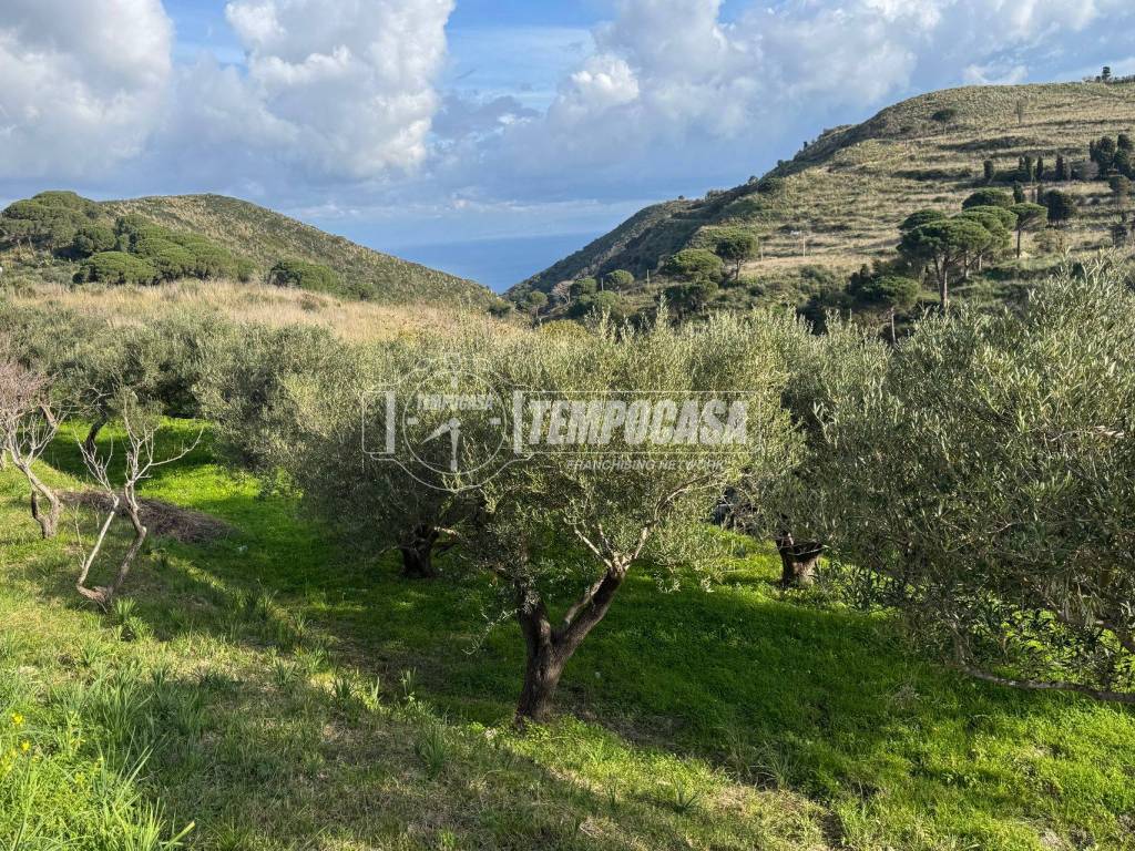 Terreno a Messina in Strada Provinciale 50 - Foto 3