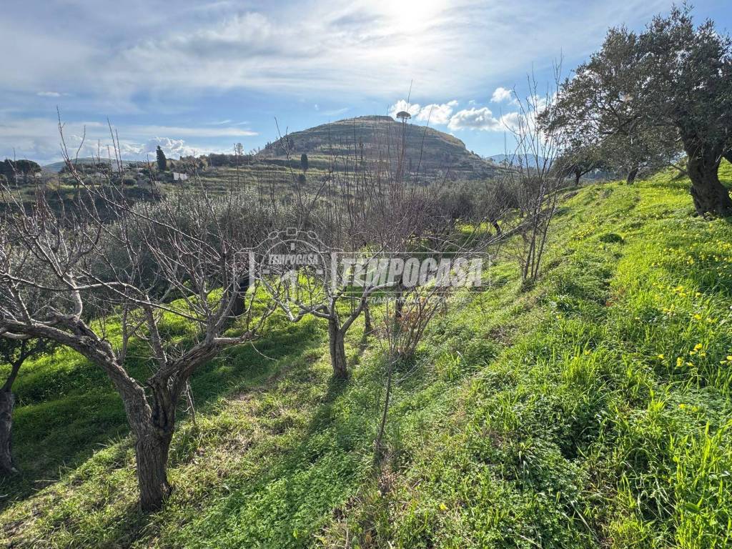 Terreno a Messina in Strada Provinciale 50 - Foto 4