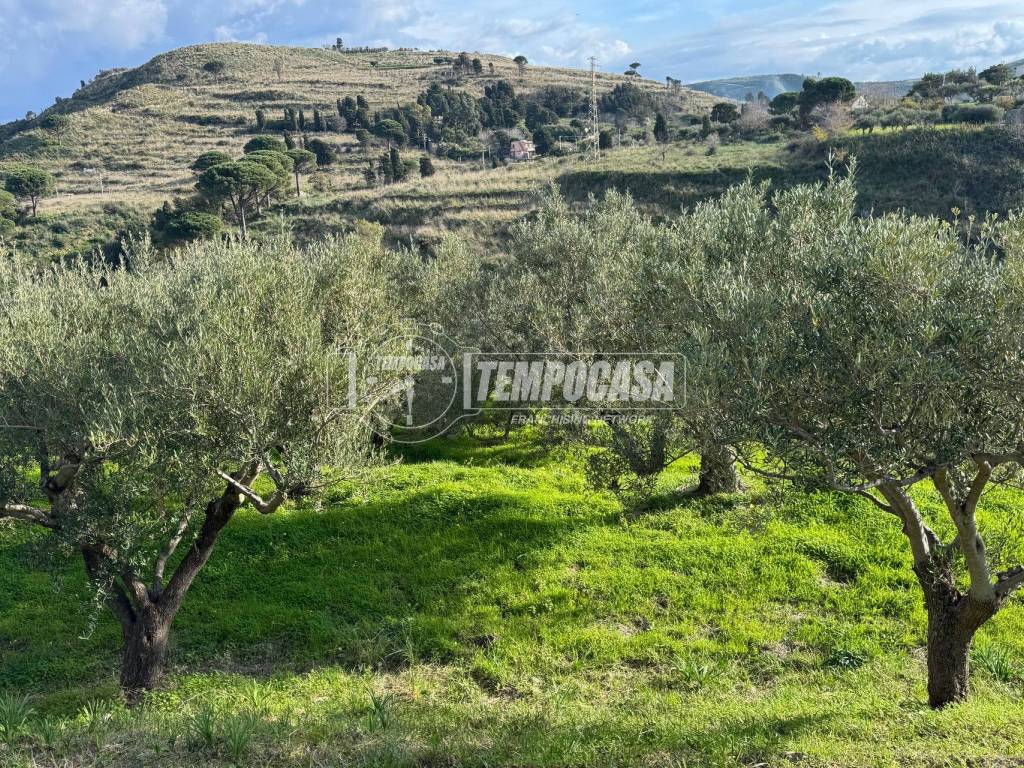 Terreno a Messina in Strada Provinciale 50 - Foto 5