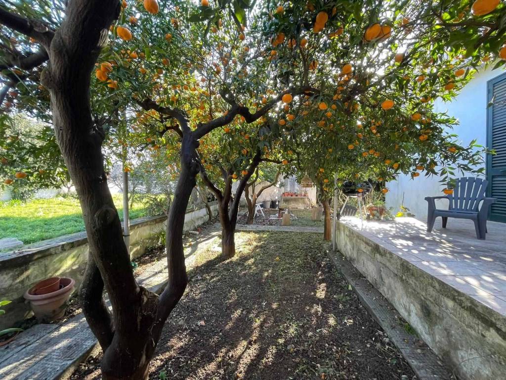 Appartamento a San cesario di lecce in Via Attilio Cerundolo, 52 - Foto 2