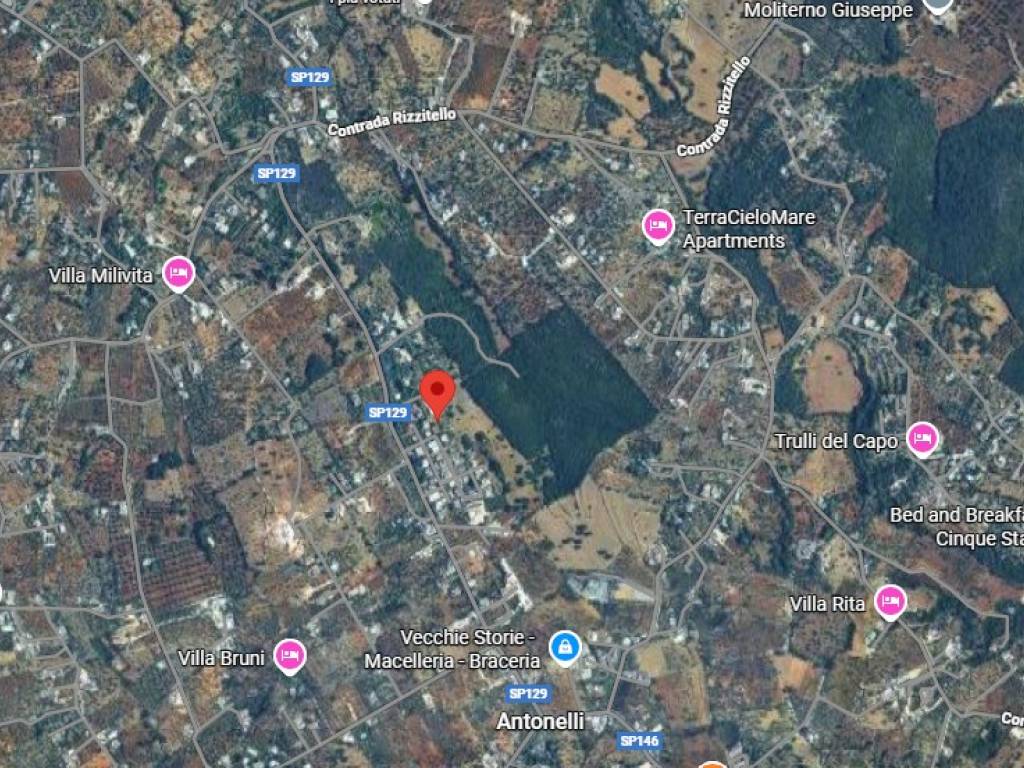 Terreno a Monopoli in Contrada Lamammolilla - Foto 5