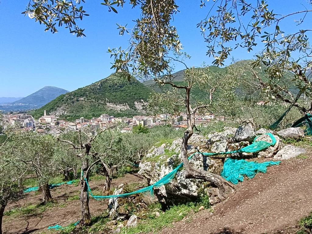 Terreno a Giffoni valle piana in Via Paratino - Foto 2