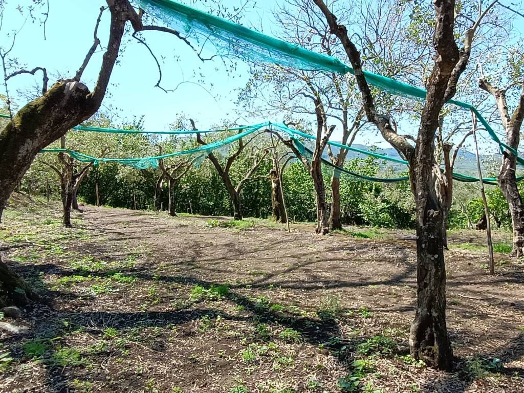 Terreno a Giffoni valle piana in Via Paratino - Foto 3