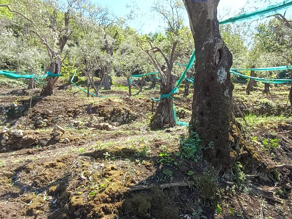 Terreno a Giffoni valle piana in Via Paratino - Foto 4