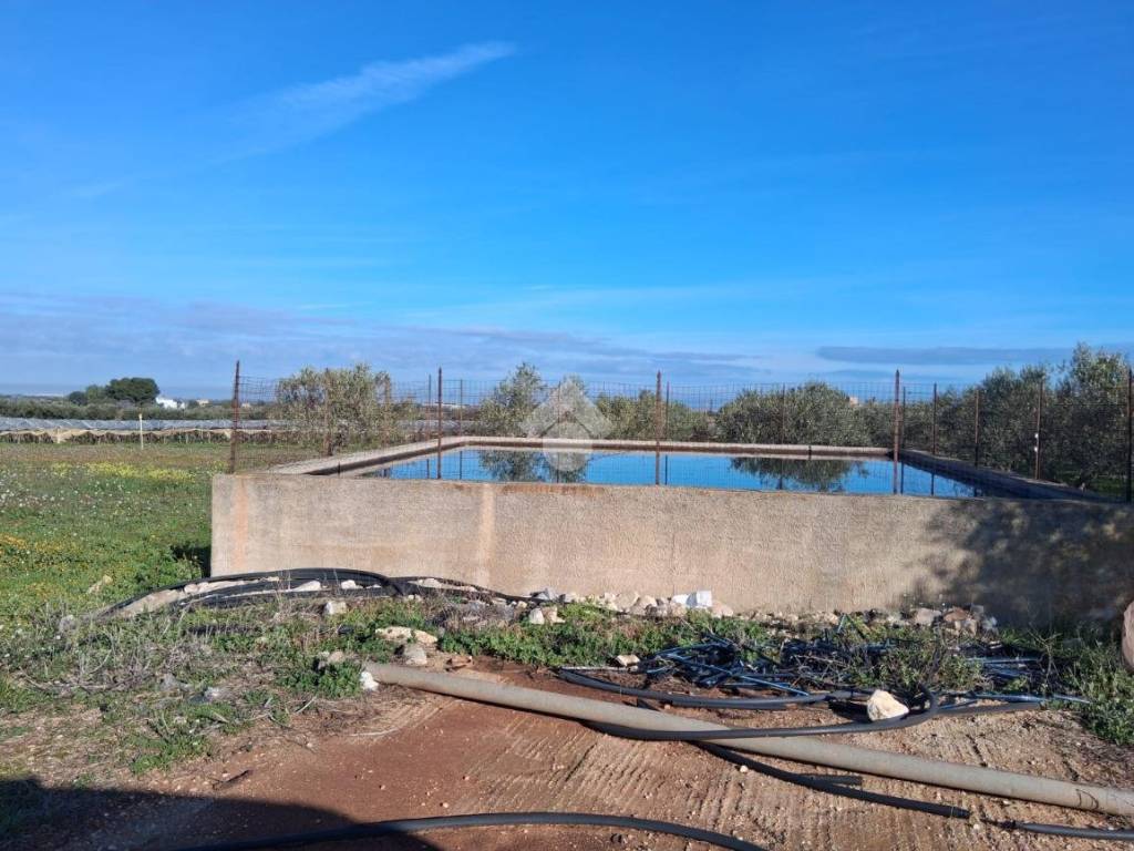 Terreno a Mola di bari in CONTRADA RINALDI - Foto 4