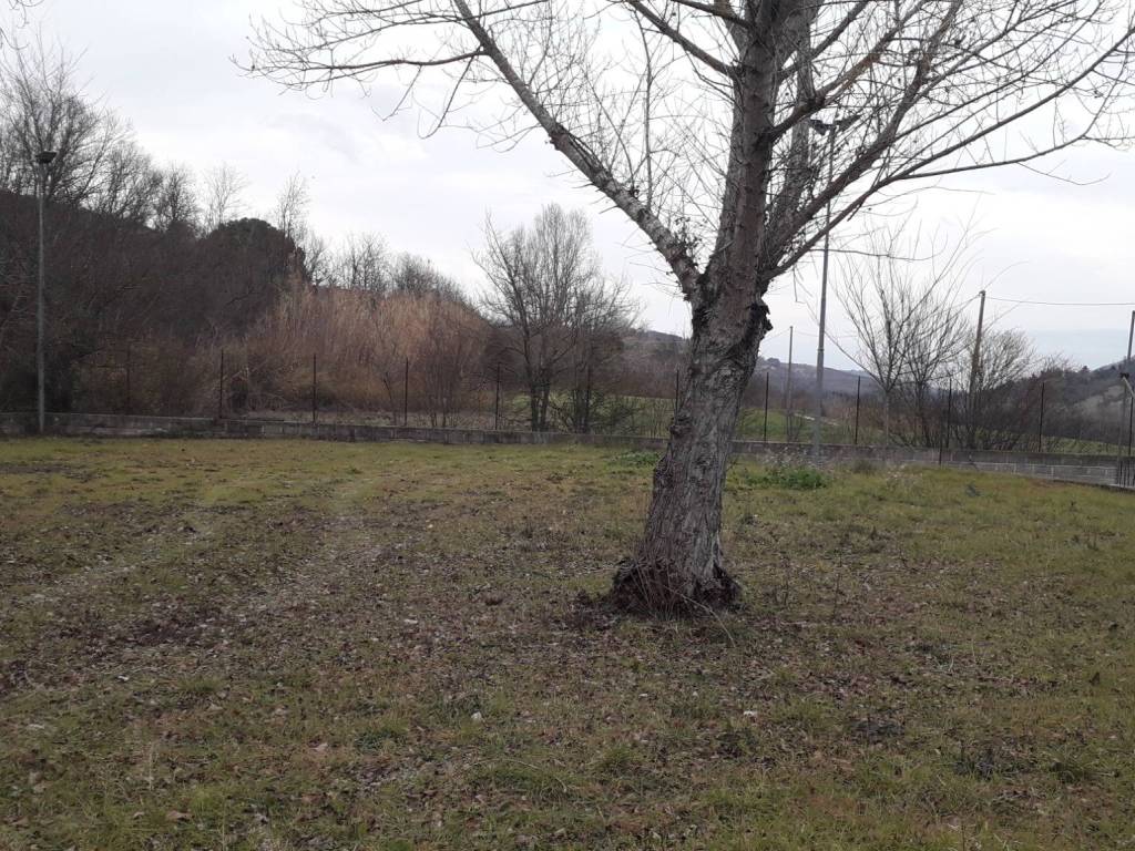 Terreno a Bucchianico in SS81 - Foto 3