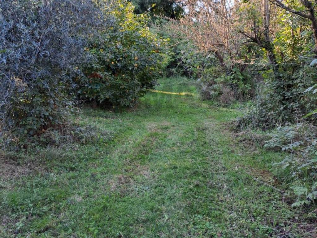 Terreno a Costermano sul garda in Via Fioria - Foto 2