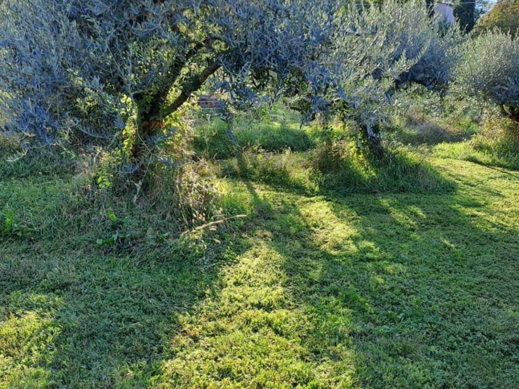 Terreno a Costermano sul garda in Via Fioria - Foto 4