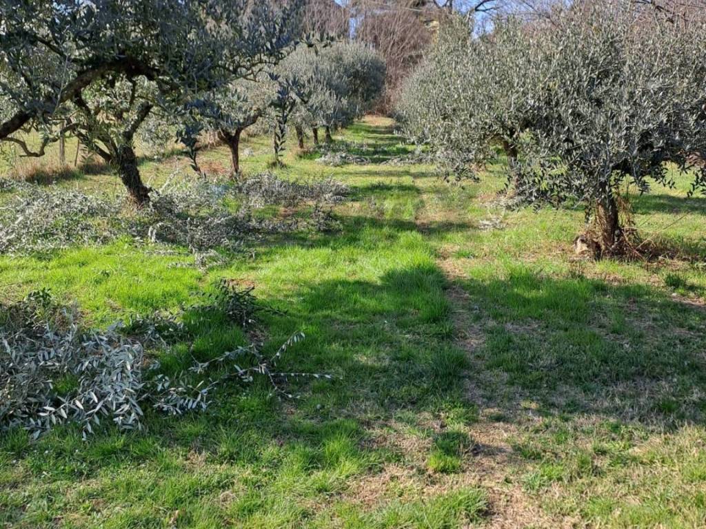 Terreno a Costermano sul garda in Via Fioria - Foto 5