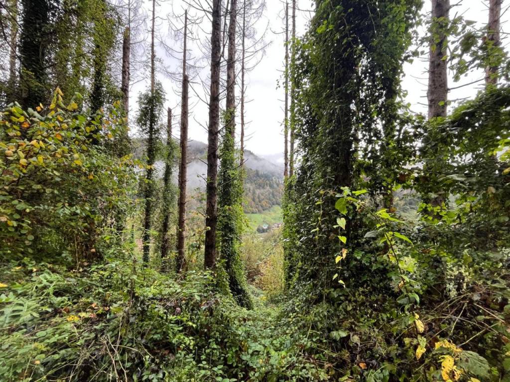 Rustico / casale a Pezzaze in Località Aiale - Foto 4