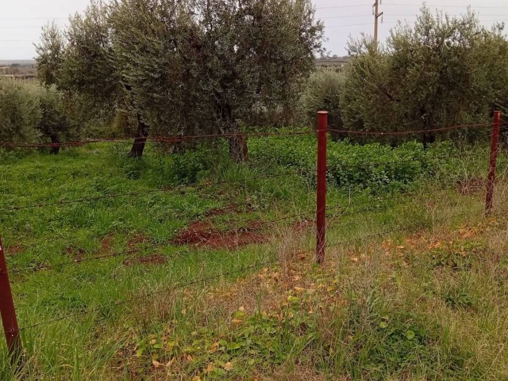 Terreno a Cori in Via Pezze di Ninfa - Foto 2