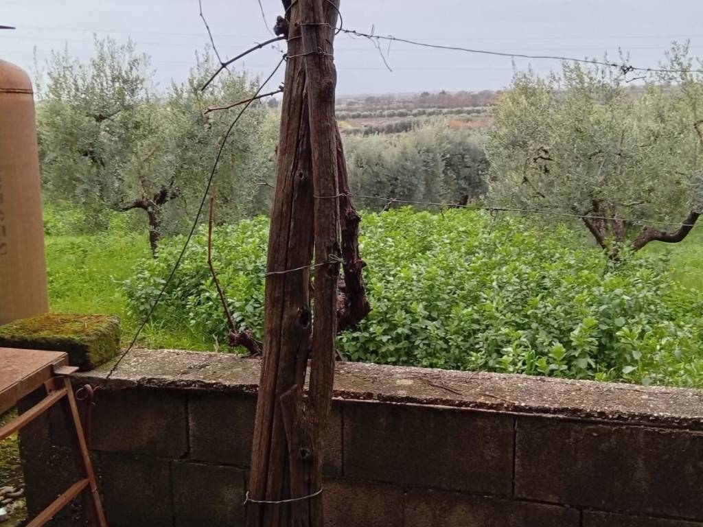 Terreno a Cori in Via Pezze di Ninfa - Foto 3