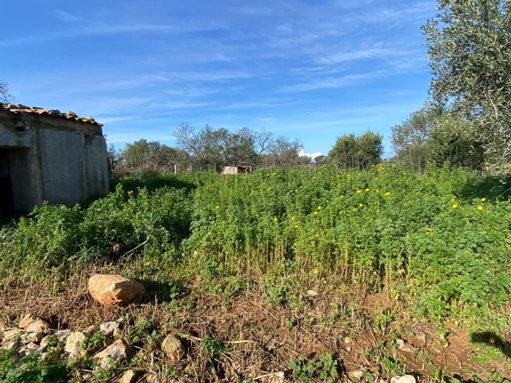 Immobile a Cinisi in SS113 - Foto 2