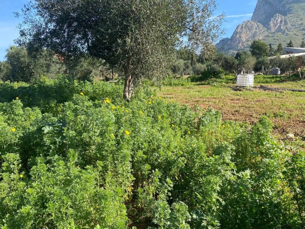 Immobile a Cinisi in SS113 - Foto 3