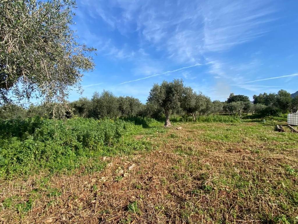 Immobile a Cinisi in SS113 - Foto 4