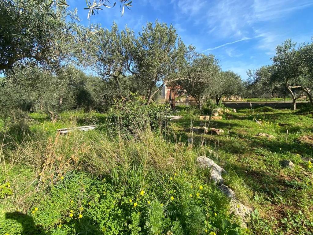 Immobile a Cinisi in SS113 - Foto 5