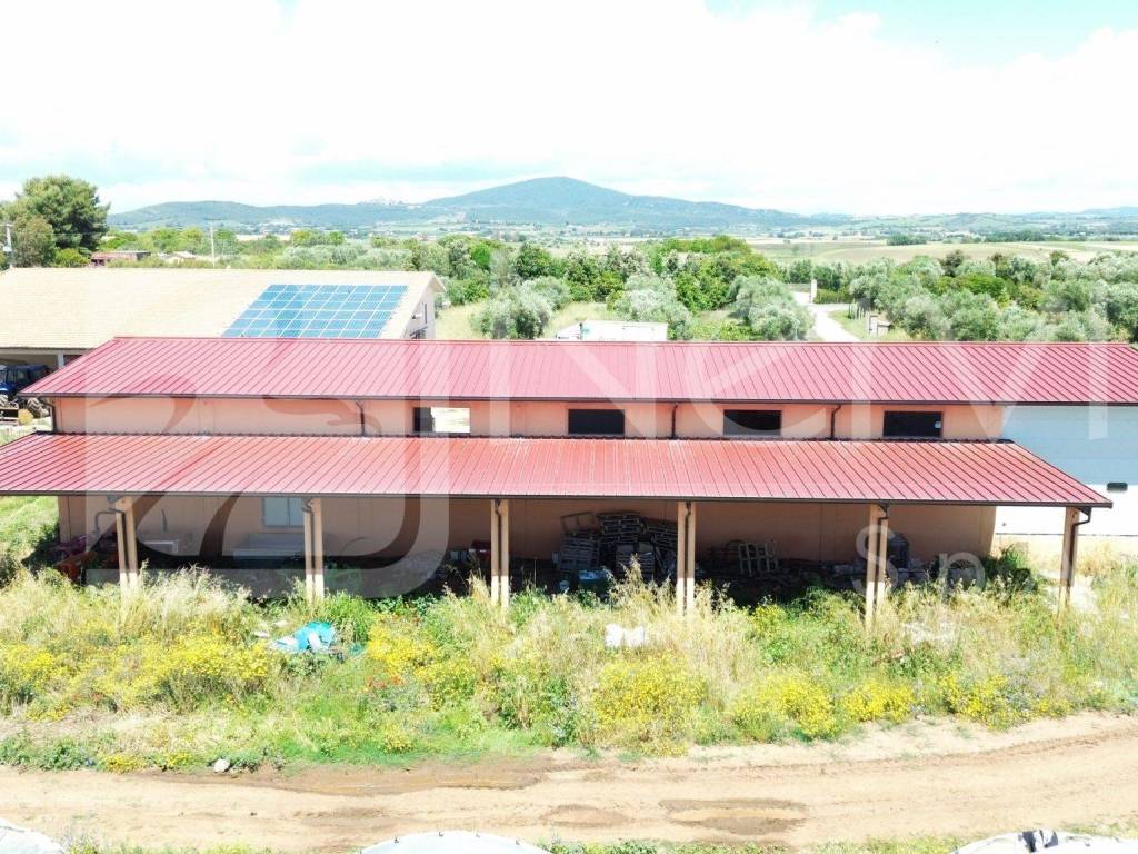 Villa a Capalbio in Strada Origlio - Foto 5