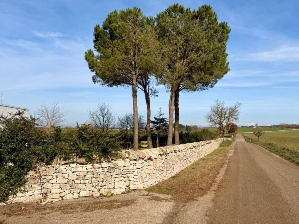 Rustico / casale a Mottola in Contrada Chiancarello - Foto 2