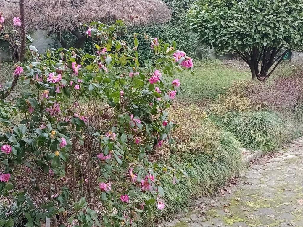 Villa a San giusto canavese - Foto 5