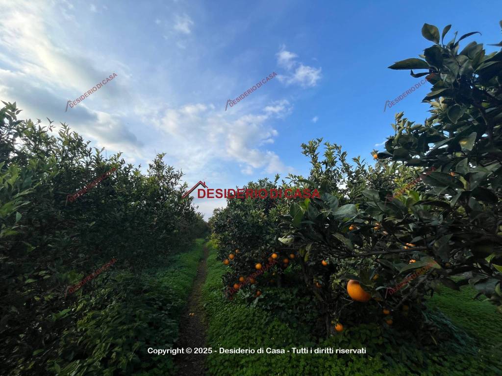 Terreno a Villabate in Via Messina - Foto 2