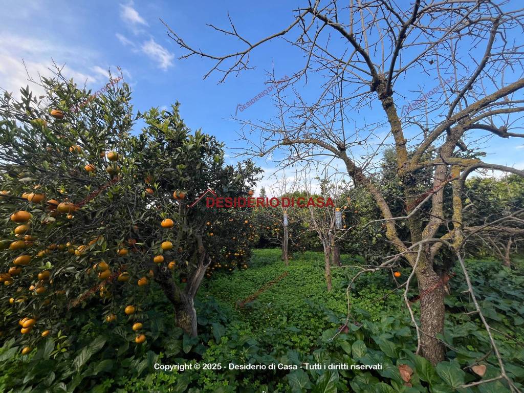 Terreno a Villabate in Via Messina - Foto 3