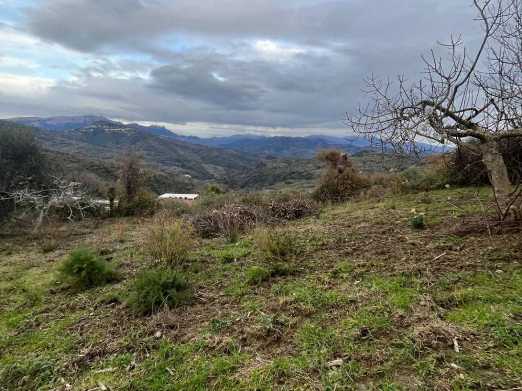 Terreno a Prignano cilento in prignano cilento - Foto 2