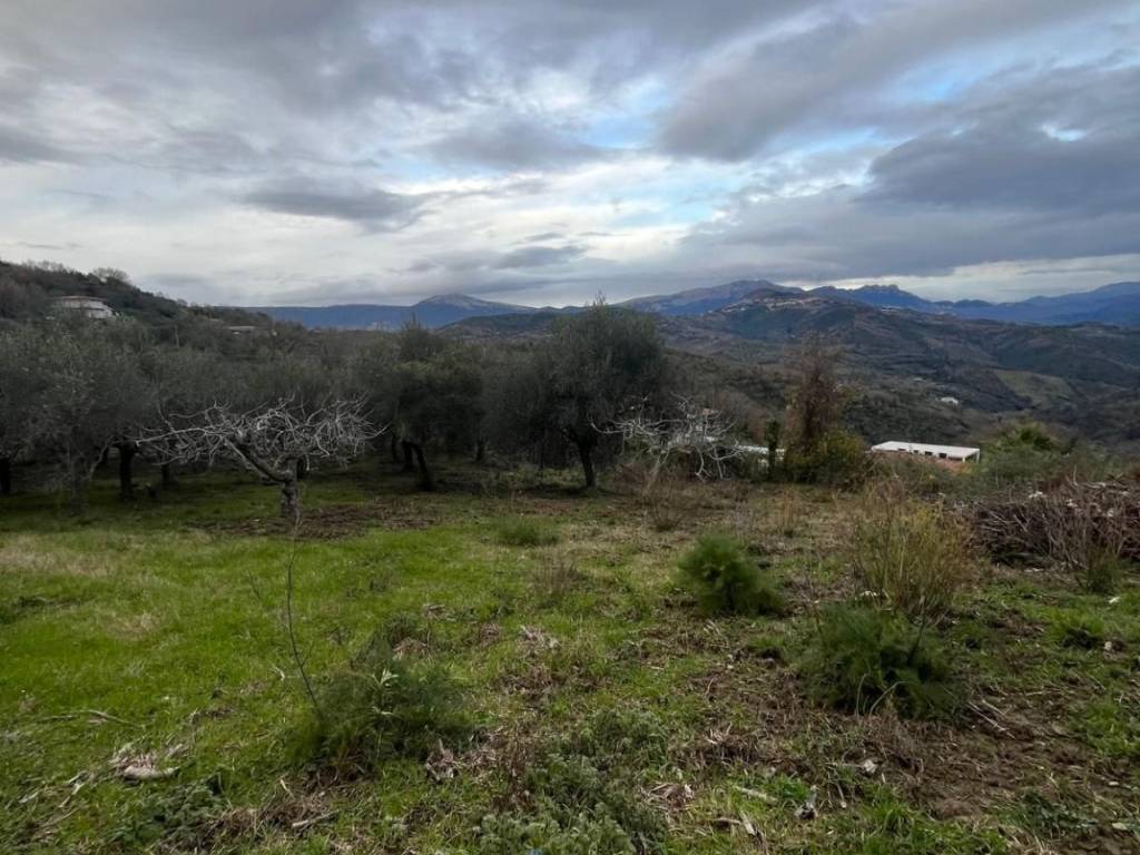 Terreno a Prignano cilento in prignano cilento - Foto 3