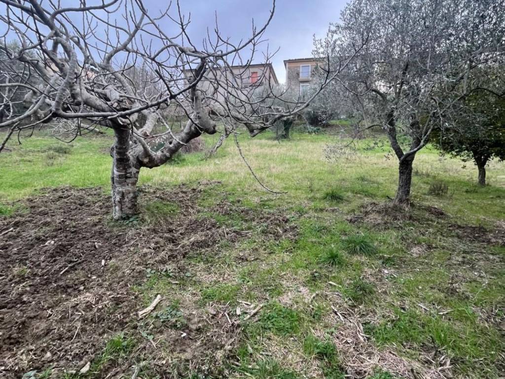 Terreno a Prignano cilento in prignano cilento - Foto 5