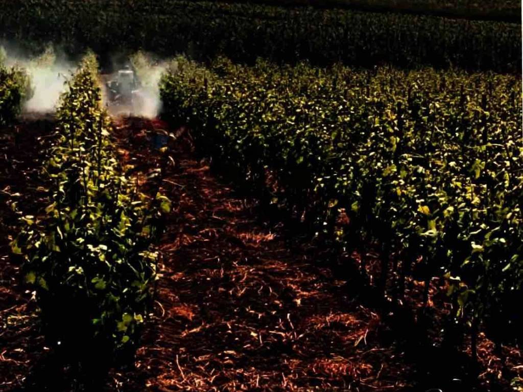 Terreno a Castelvetrano in baso belice - Foto 4