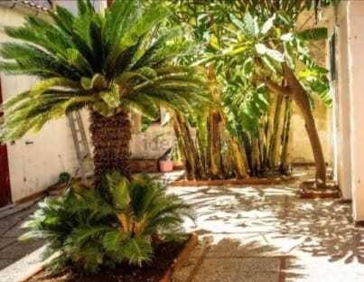 Villa a Marsala - Foto 2