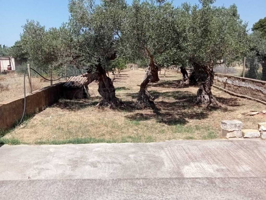 Villa a Castelvetrano - Foto 3