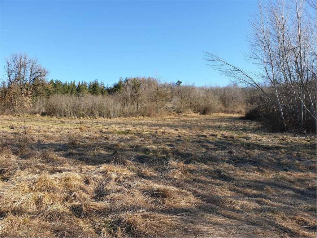 Rustico / casale a Ceva in strada malpotremo, 25 - Foto 3