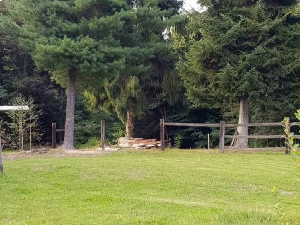 Terreno a Valdilana in SP229 - Foto 3