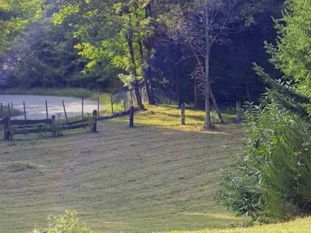 Terreno a Valdilana in SP229 - Foto 4