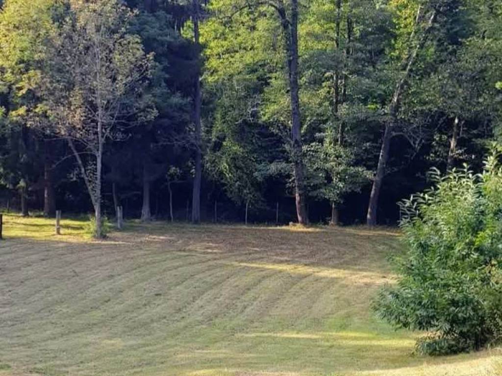 Terreno a Valdilana in SP229 - Foto 5