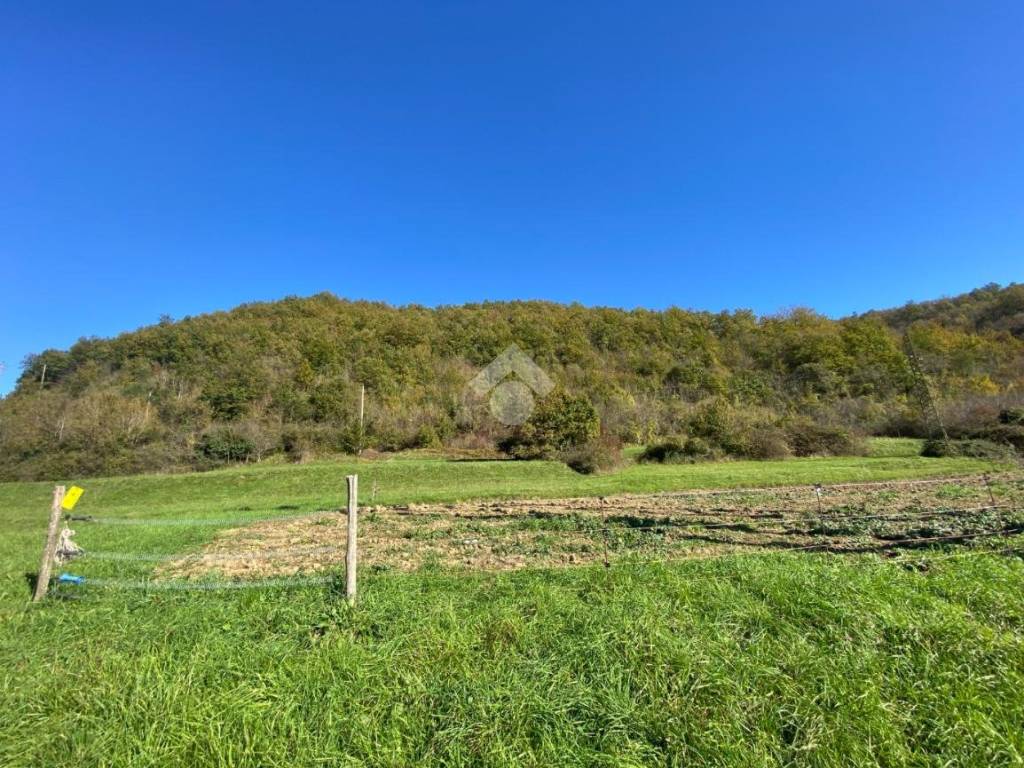 Terreno a Casella in Via Avosso - Foto 2