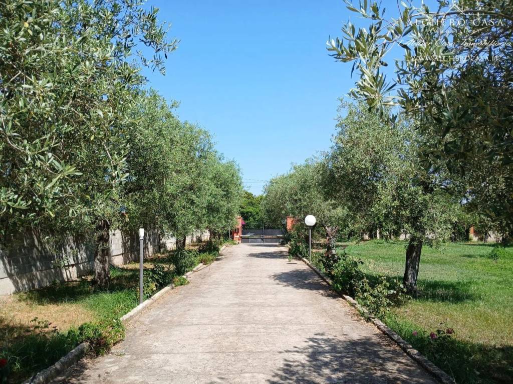 Villa a Alghero - Foto 5