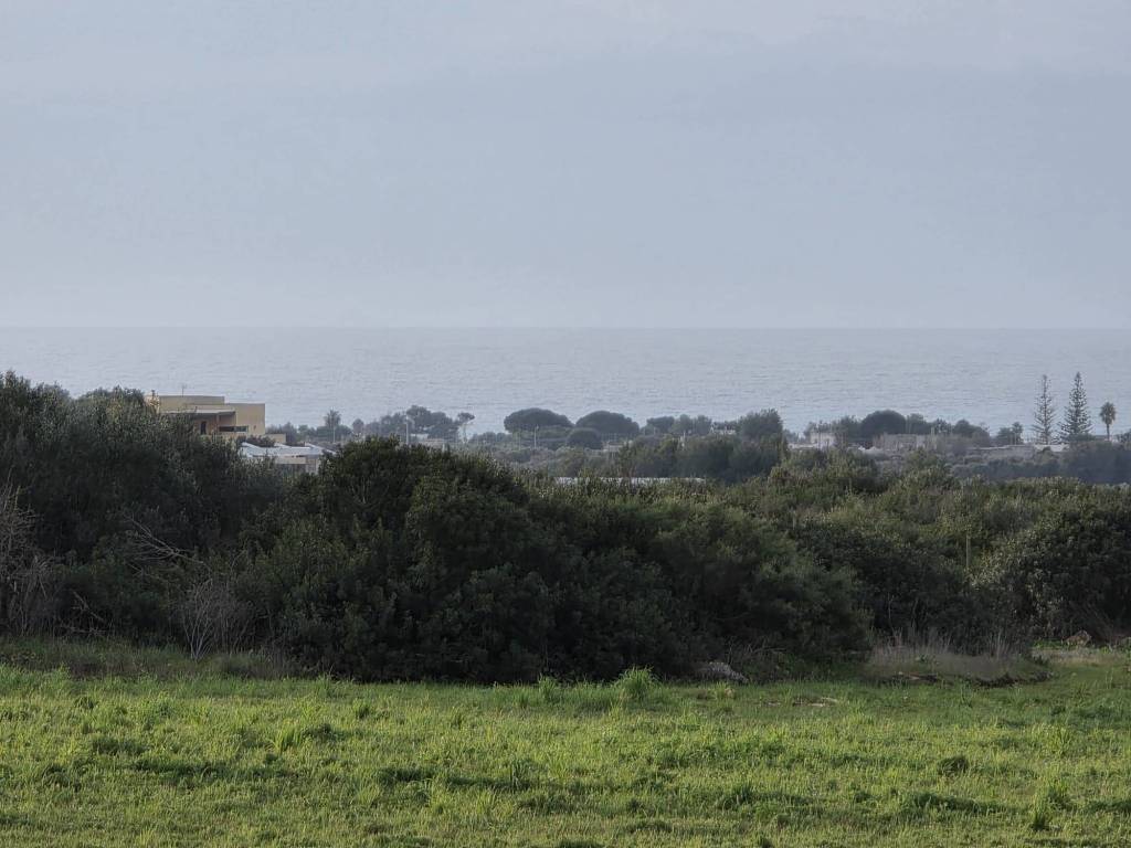 Terreno a Manduria - Foto 3