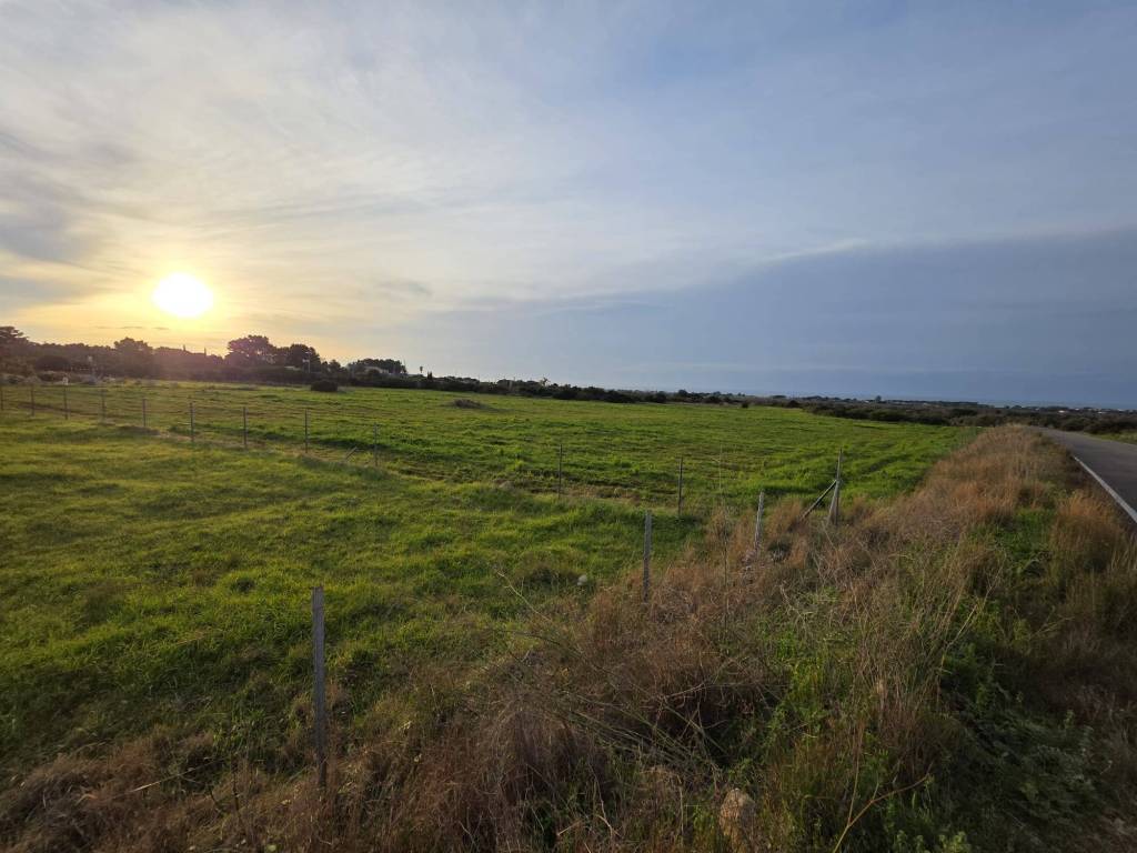 Terreno a Manduria - Foto 4