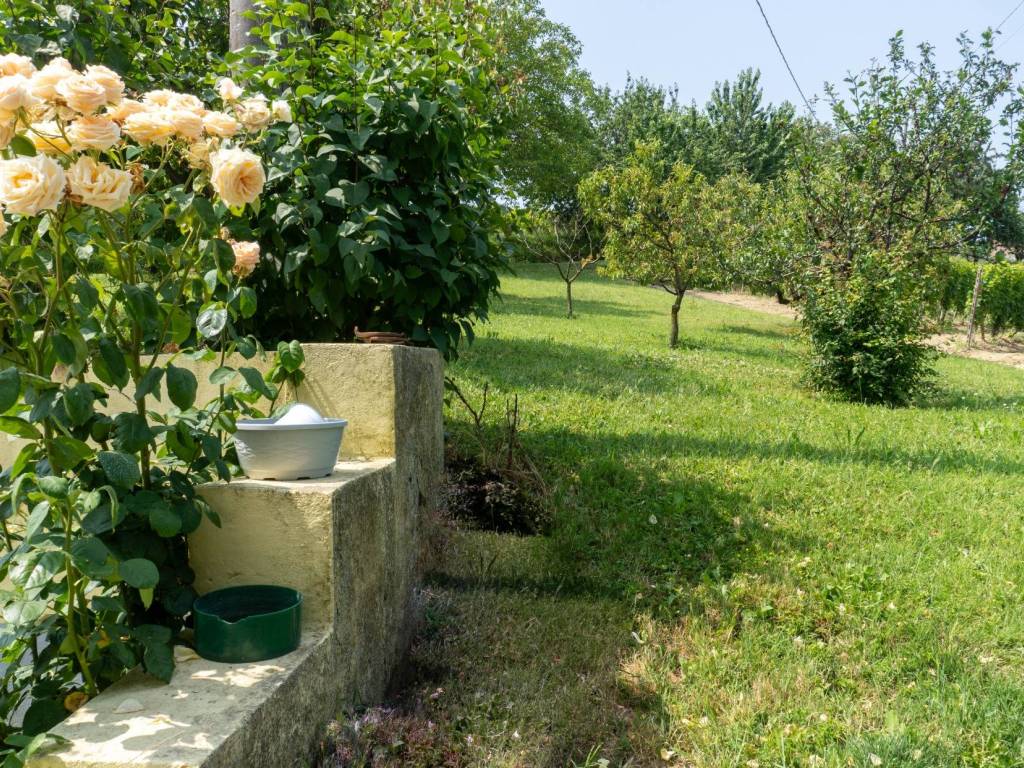 Rustico / casale a Castelletto molina in Via Case Sparse, 43 - Foto 5