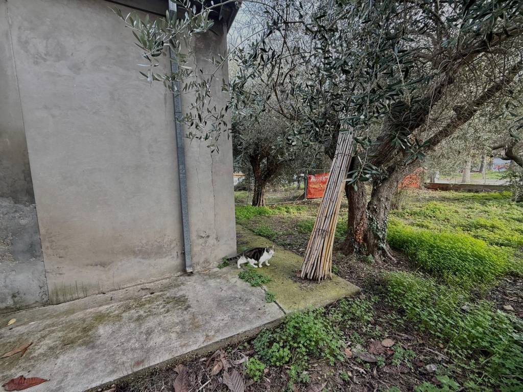 Appartamento a Montesilvano in Via Marsica - Foto 4