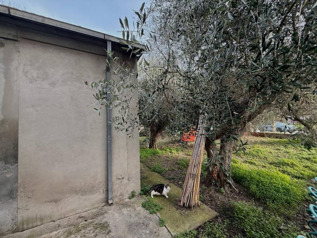 Appartamento a Montesilvano in Via Marsica - Foto 5