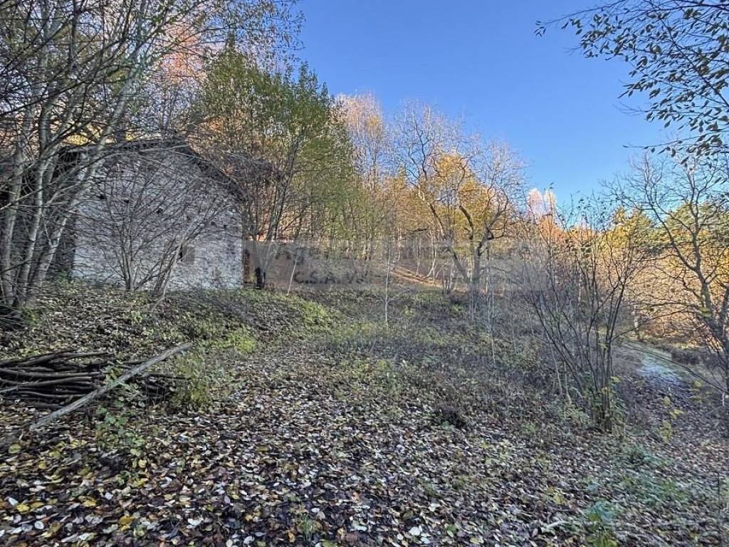 Terreno a Brentonico - Foto 4