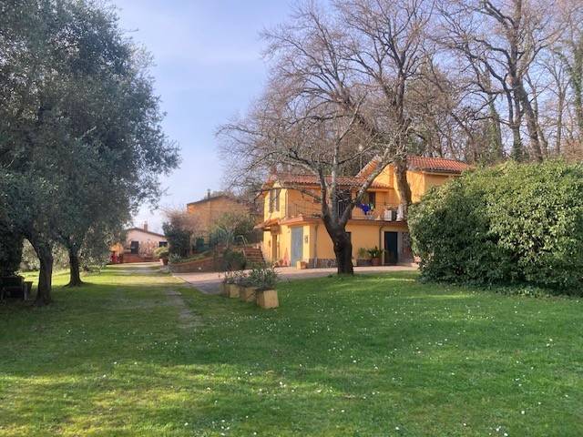 Rustico / casale a Pieve a nievole - Foto 2