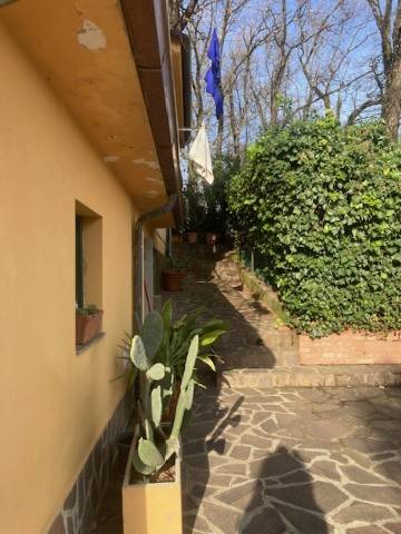 Rustico / casale a Pieve a nievole - Foto 4