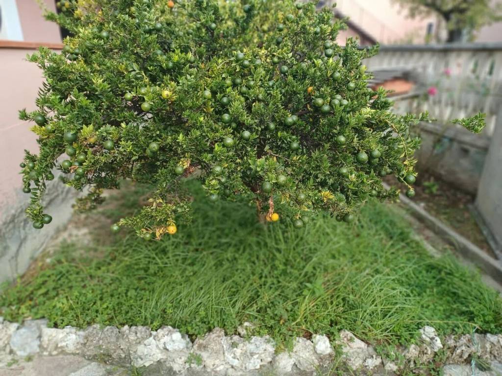 Villa a Arcola in Via Valentini No Number - Foto 2