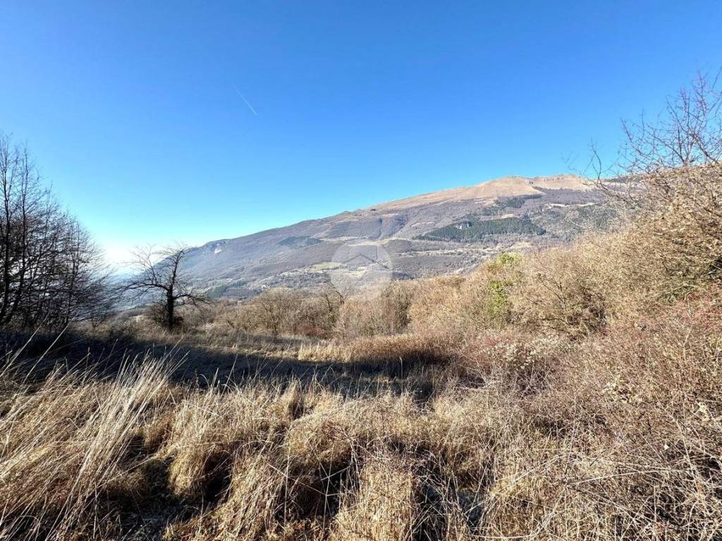 Terreno a Caprino veronese in Località Andrini Spiazzi - Foto 2